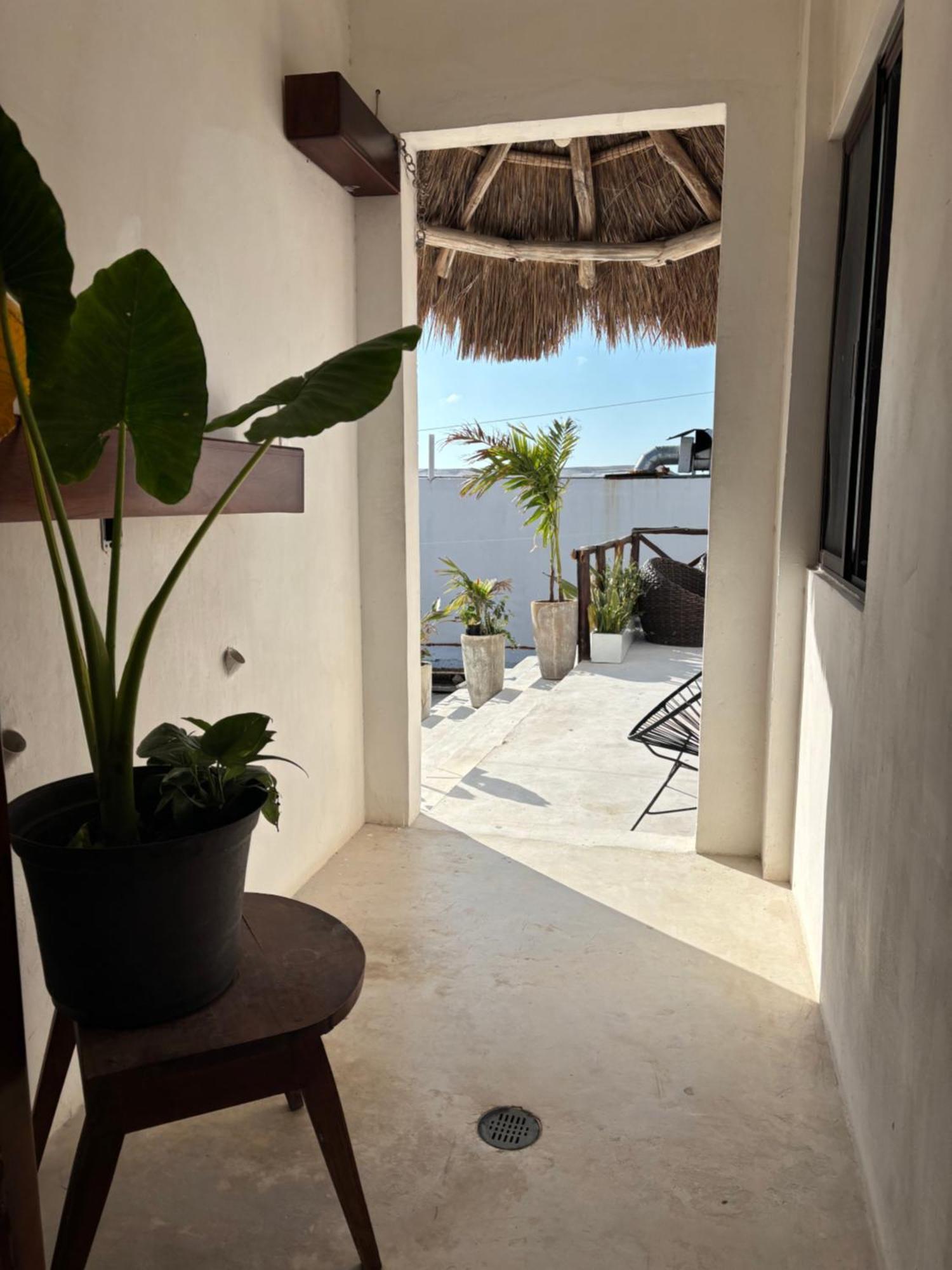 Hotel Mittoz Holbox المظهر الخارجي الصورة